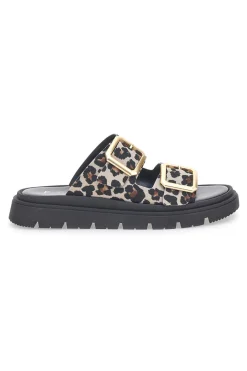 PITTARELLO FOCUS Ciabatte Leopardate Con Doppia Fascia Fibbia Dorata 19202 LEOPARD/NERO New