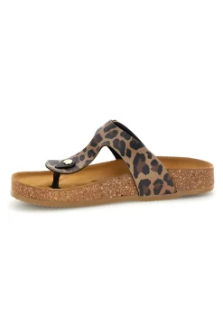 Donna PITTARELLO TIERRA 335A2177SR LEDER