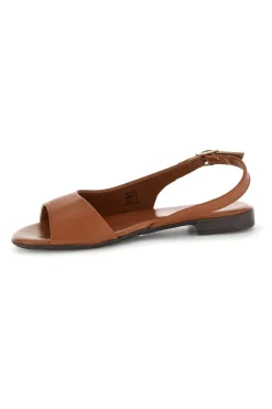 PITTARELLO LOOK Sandali marroni in pelle con cinturino 225110 BRANDY Clearance