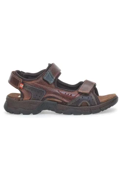 Uomo PITTARELLO ACTIVE Sandali 02 Marrone