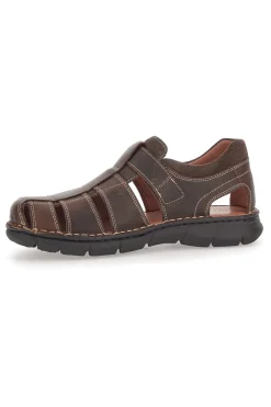 PITTARELLO ECO Sandalo Fisherman Marrone 72 CAFFE'/ANALGESICO Online