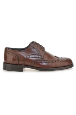 Uomo PITTARELLO Scarpe eleganti marroni in pelle con forature decorative 7710