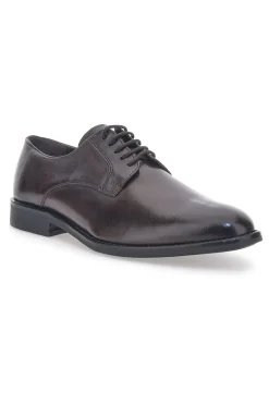 Uomo MAX DILLAN Scarpe Stringate Marroni 6001