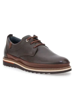 Uomo PITTARELLO ECO Scarpe Stringate Marroni 0002