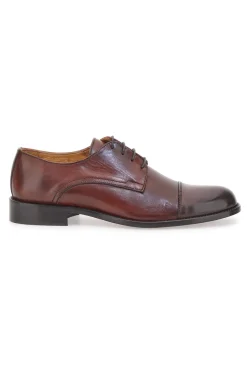 Uomo PITTARELLO PLUS Scarpe Stringate Marroni 613