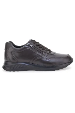 Uomo CLAREMORRIS Sneakers marroni in pelle con zip laterale 23066510