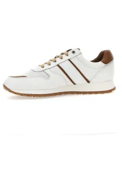 Uomo PITTARELLO PLUS Sneakers 12010 Vera Pelle