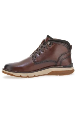 Uomo ALTEMBERG Stringate Alte Marroni 2211