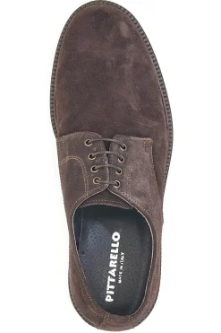 Uomo PITTARELLO Stringate marroni in pelle scamosciata 600